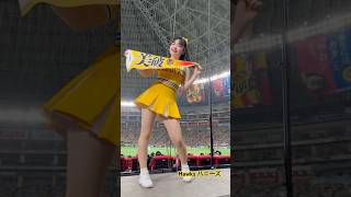 ホークスハニーズ🤍 SoftBank Hawks🦅 PayPayドーム👯‍♀️ [upl. by Ibur]