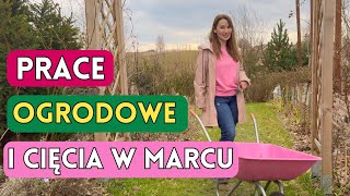 MARZEC W OGRODZIE  prace ogrodowe przycinamy róże [upl. by Januisz369]