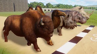 Ungulates Animals Speed Races in Planet Zoo included Bison Camel Rhinoceros Hippopotamus [upl. by Eiramalegna]