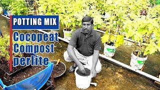 Grow Your Own FoodPOTTING MIXCOCO PEATCOMPOSTPERLITE [upl. by Allak]