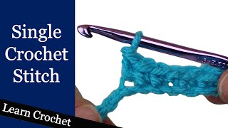 Single Crochet Stitch  Beginner Course Lesson 6 [upl. by Rao]