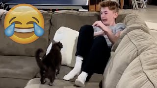 Cats Being JERKS Savage Cats Attacking People Compilation  PETASTIC 🐾 [upl. by Pry]