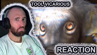 TOOL  VICARIOUS RAPPER REACTION [upl. by Moulton17]