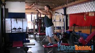 Partial SingleLeg Squat  How to do SingleLeg Partial Squats [upl. by Meekahs546]