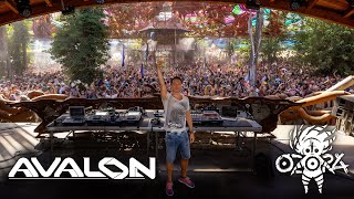 Avalon  Ozora Festival 2024 Full Set Movie [upl. by Delbert35]