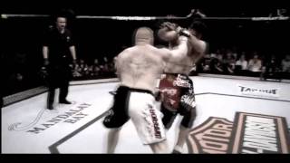 Lesnar vs Overeem [upl. by Hgeilhsa]