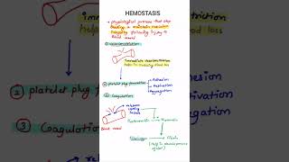 Hemostasis  Blood Clotting  Blood Physiology  MBBS 1ST YEAR [upl. by Arimat]