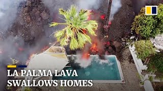 Thousands flee as lava from volcano on Spain’s La Palma island swallows homes [upl. by Enenstein55]