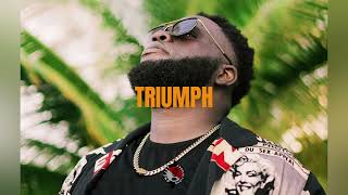 FREE Dancehall RIddim Instrumental 2024  quotTriumphquot [upl. by Akehsal]