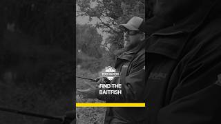 PERCH FISHING UK TIPS BY ASH COSTA  FIND THE BAITFISH perchfishinguk lurefishinguk [upl. by Ddene]