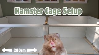 A NEW Hamster Cage Setup in a 6ft Enclosure [upl. by Barbuto802]