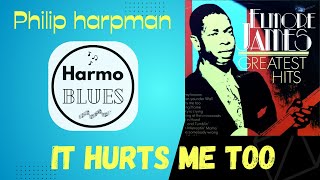 It Hurts Me Too  Harmonica Cover  Elmore James Eric Clapton Bob Dylan [upl. by Garfield964]