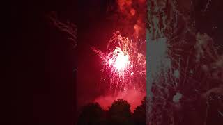 Firework PERFECT 2024 35 in 4K shorts viral fireworks [upl. by Anasor41]