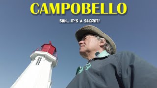 CAMPOBELLO  Secret Birding [upl. by Gnuhp618]