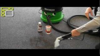 Numatic George Vacuum GVE3702 Vacuum Cleaner Demonstration [upl. by Ander]