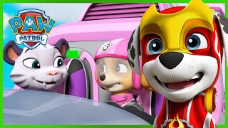 Pups rescue Tracker and the Monkeys in the Jungle  PAW Patrol  Cartoons for Kids Compilation [upl. by Novonod]