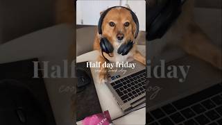 Its Friday half day see you next Tuesday worklife staytoxic pomeranian itsfriday happyfriday [upl. by Banyaz]