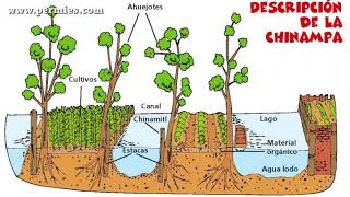 Chinampas [upl. by Boni]