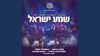 Shema  Yerachmiel Begun [upl. by Tempest]