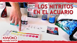 ⚠️Nitritos en el acuario NO2⚠️ Cómo medirlos y cómo eliminarlos [upl. by Sivar205]