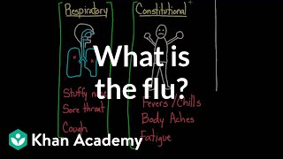 What is the flu  Infectious diseases  Health amp Medicine  Khan Academy [upl. by Arehc]