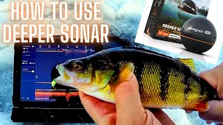 How to Use Deeper Pro Plus Sonar for Ice Fishing Perch [upl. by Lilith69]