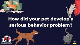 Why do some pets have behavior problems and some dont [upl. by Emmalee]