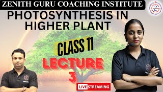 POTHOSYNTHESIS IN HIGHER PLANTS  Class 11  Chapter 11  Lecture 3 By Shubhangi Maam [upl. by Greenebaum]