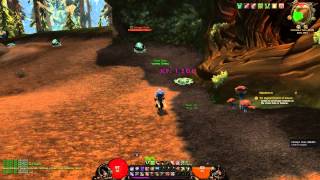 Hear Kitty  World of Warcraft Addon  Rogue custom sounds [upl. by Inaflahk464]