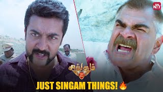 Suriyas Ultimate Mass Action Scene 🔥  Singam 3  Shruthi Hasaan  Anushka Shetty  Sun NXT [upl. by Domineca]