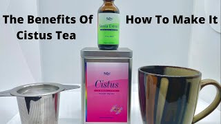 The Benefits Of Cistus Tea amp How To Make It [upl. by Atineb]