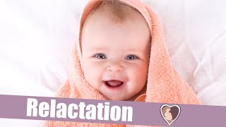 Relactation  8 simple steps to get your baby back to the breast [upl. by Notaek]