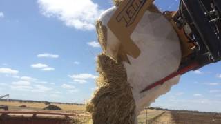 Cattle Feedlot  Nhill [upl. by Bertrando787]