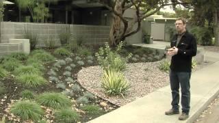 MidCentury Modern Landscape Design [upl. by Towill]