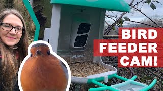 Wow Look at this Bird Feeder Camera [upl. by Seroled]