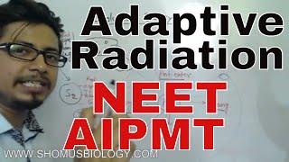 Adaptive radiation class 12 for NEET  evolution biology lecture [upl. by Meggs]