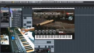 Marimba Latina VST Demo Marimba Virtual Guatemalteca Nicaraguense Chiapaneca Guatemalan Marimba [upl. by Ledniahs896]