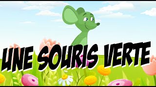 Une souris verte Comptine pour enfant [upl. by Chatwin559]