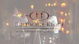 Kadoro Lodge Bushmans Kloof Wilderness Reserve and Wellness Retreat [upl. by Kreiner542]