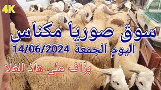 أثمنة الغنم والماعز سوق صوريا مكناس اليوم الجمعة 14062024 [upl. by Halet]