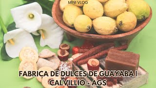 Fabrica de Dulces de Guayaba  CalvilloAgs  calvilloaguascalientes calvillopueblomágico [upl. by Bouchard]