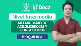 Metabolismo de acilgliceroles y esfingolípidos con Harper Academia amp uDocz 📚 Nivel Intermedio [upl. by Bradwell]