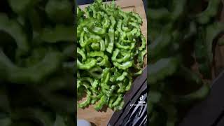 minigarden ampalaya planting plants cooking shortstrendingvideo [upl. by Ajaj642]