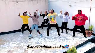 Mike Kalambay  Congo na Biso by SHEKINAH DANSE SDM [upl. by Faxun]