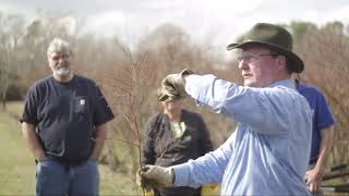 HandsOn Blueberry Pruning Workshop North Carolina [upl. by Rramaj]