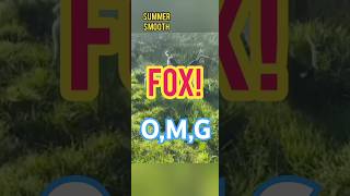 Absolutely unbelievable Animals Hunting Game [upl. by Sophi]