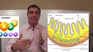 How to Test for Leaky Gut with Dr Rob [upl. by Defant]