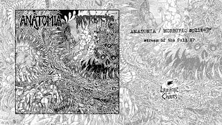 ANATOMIA  MORBIFIC split7quot full EP [upl. by Aceber343]