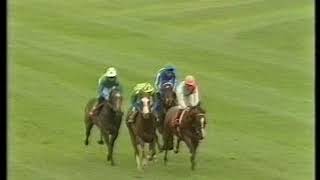 1993 Laurent Perrier Champagne Stakes [upl. by Yelrebmyk]