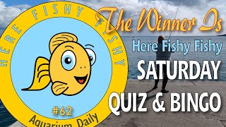 Here Fishy Fishy Saturday Fun  Saturday Quiz amp Bingo  Live Ep62 [upl. by Trefler]